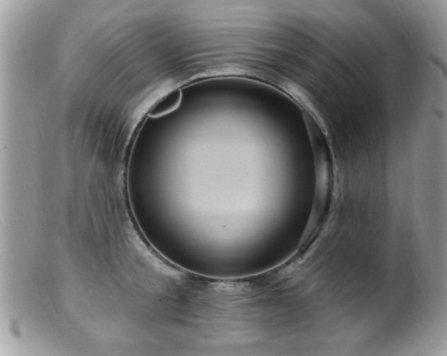 X0000099380805200805151617