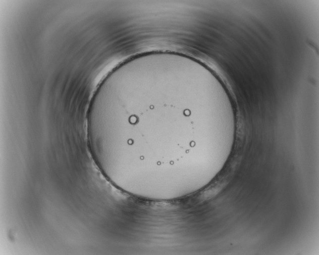 X0000099380807200805151617