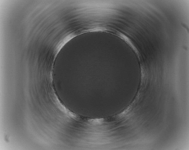 X0000099380810200805151617