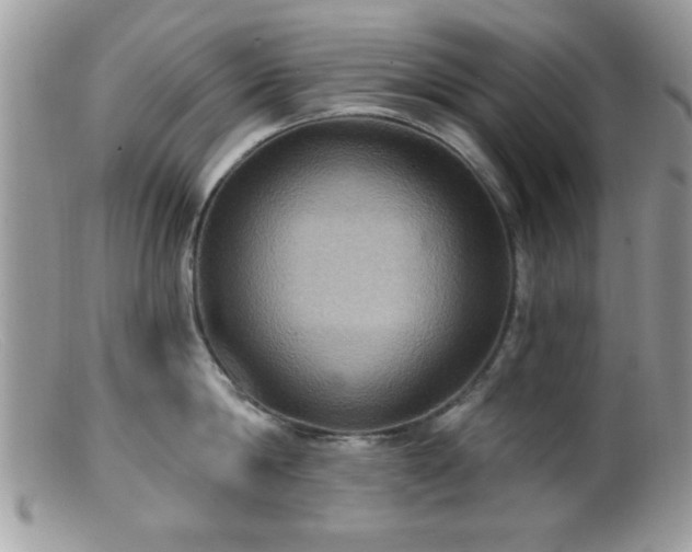 X0000099380814200805151617