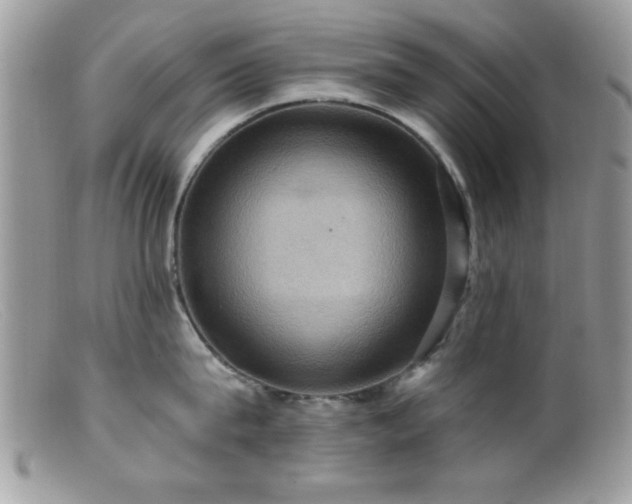 X0000099380815200805151617