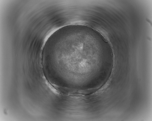 X0000099380816200805151617