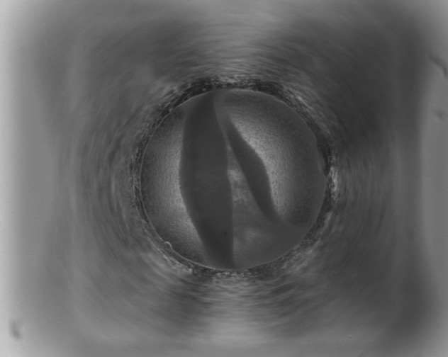 X0000099380817200805151616