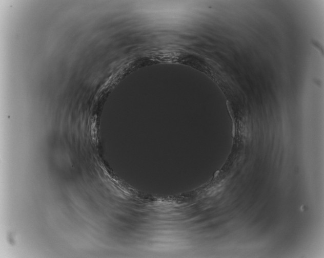 X0000099380818200805151616