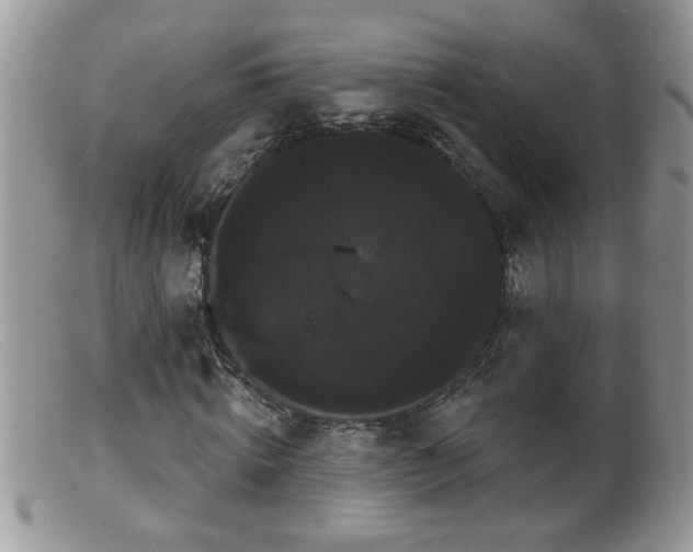 X0000099380820200805151616