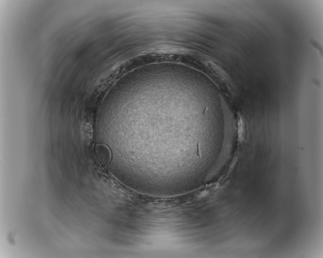 X0000099380821200805151616