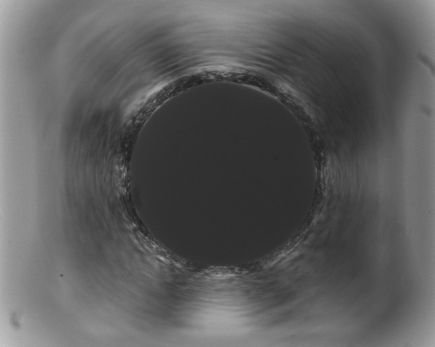 X0000099380822200805151616