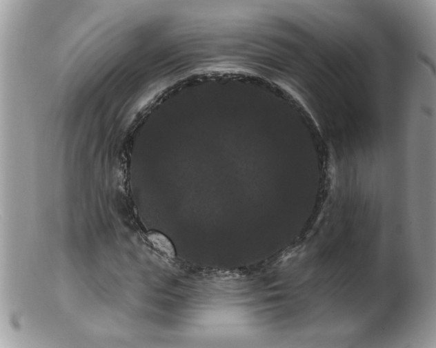 X0000099380823200805151616