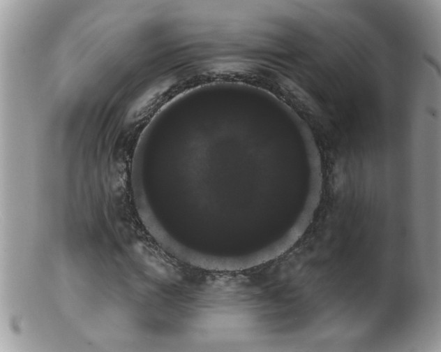 X0000099380824200805151616