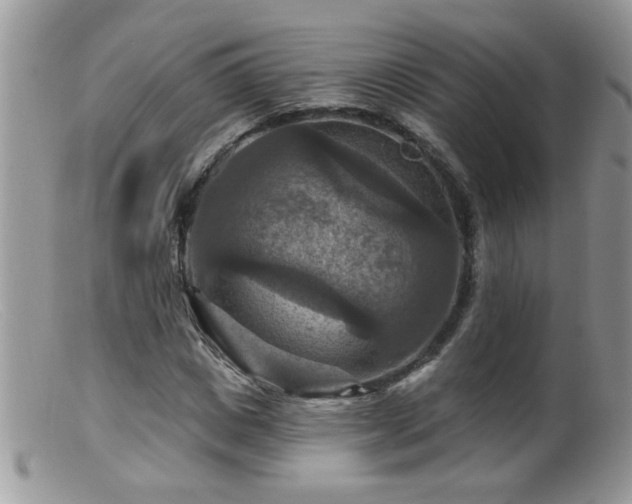 X0000099380825200805151616