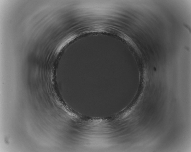 X0000099380826200805151616