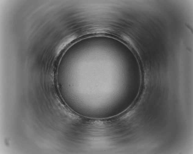 X0000099380827200805151616