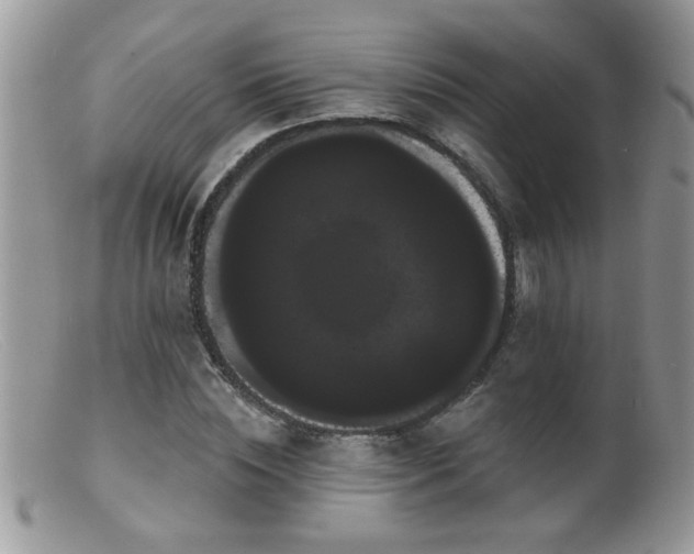 X0000099380828200805151616