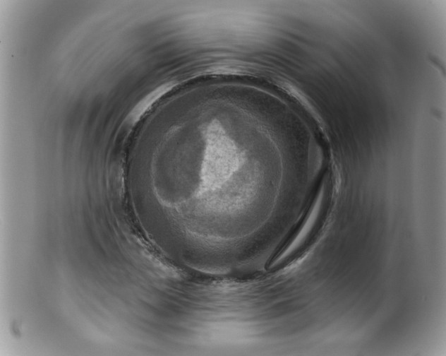 X0000099380829200805151616