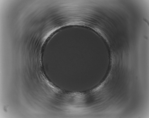 X0000099380830200805151616