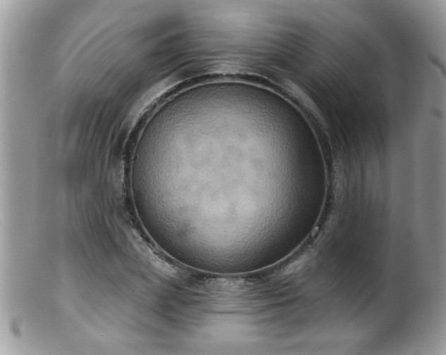 X0000099380831200805151616