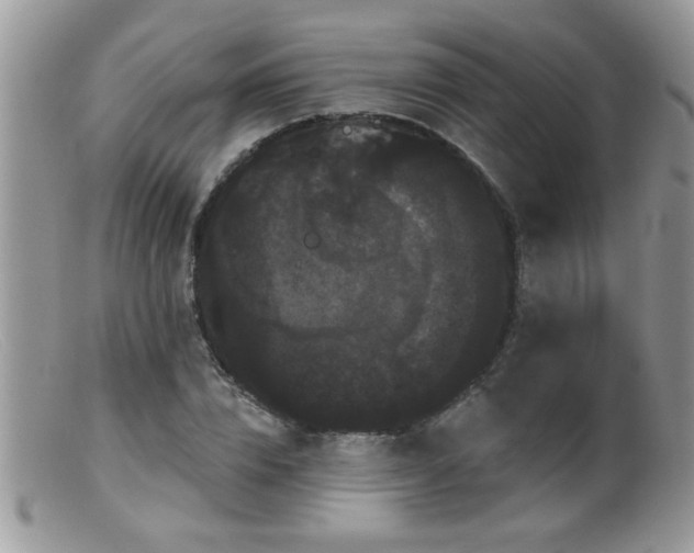 X0000099380832200805151616