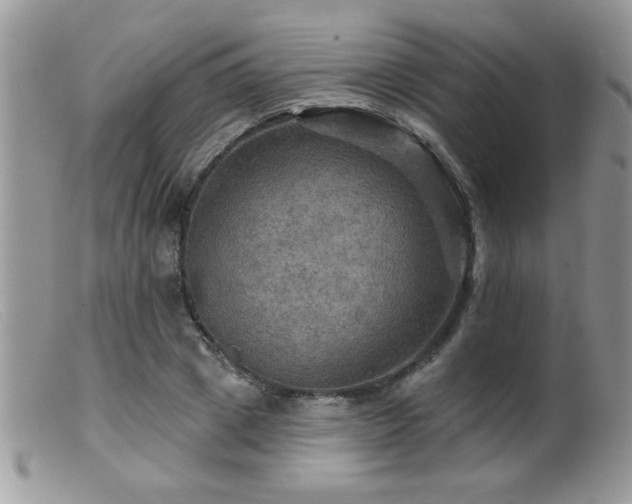 X0000099380833200805151616