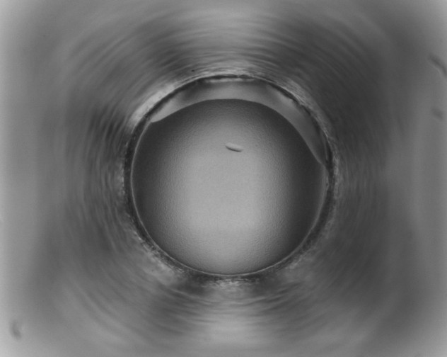 X0000099380834200805151616