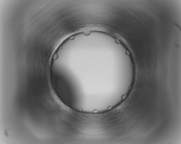 X0000099380836200805151616