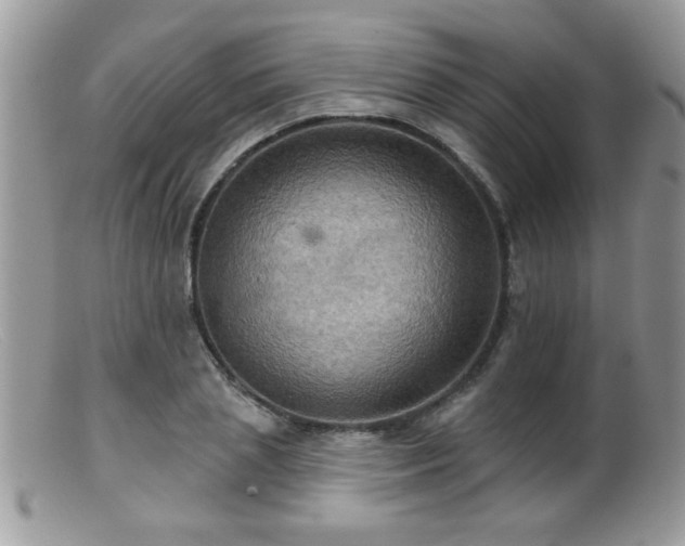 X0000099380837200805151616