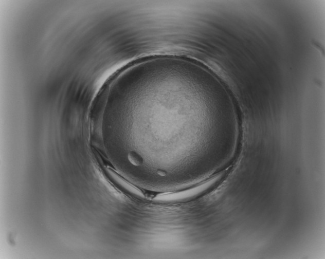 X0000099380838200805151616