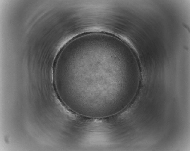 X0000099380839200805151616