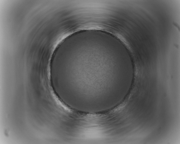 X0000099380840200805151616