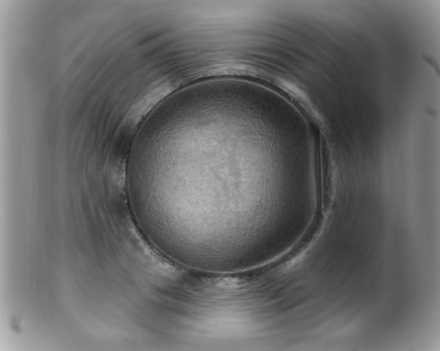 X0000099380841200805151616