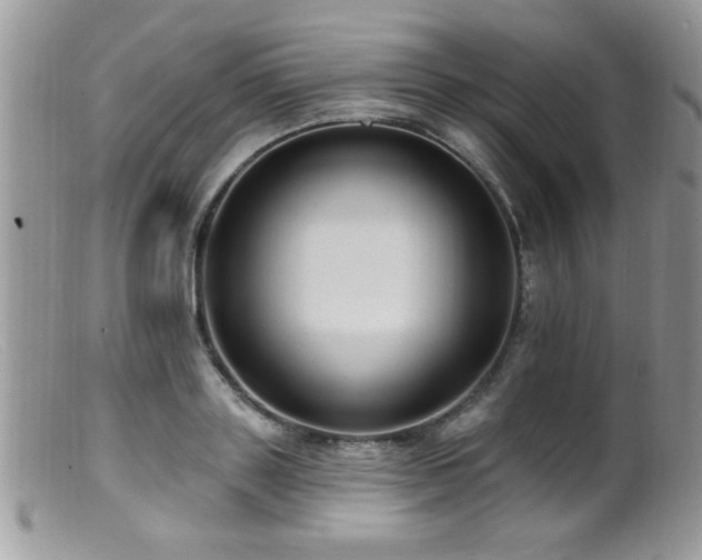 X0000099380843200805151616