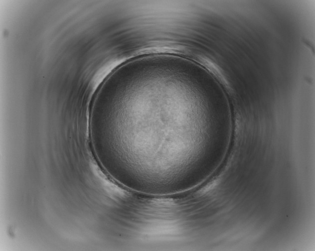 X0000099380844200805151616