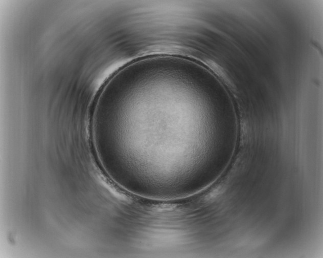 X0000099380846200805151616