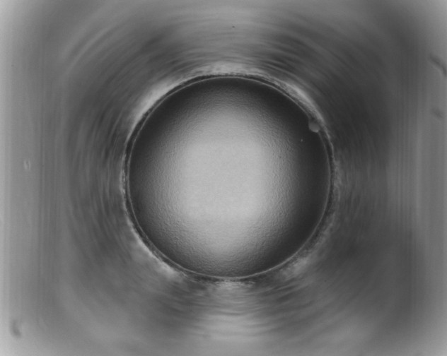 X0000099380847200805151616