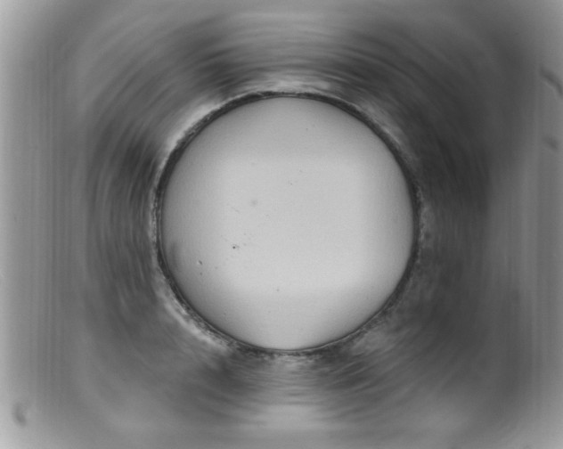 X0000099380848200805151616