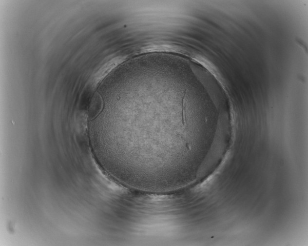 X0000099380849200805151616