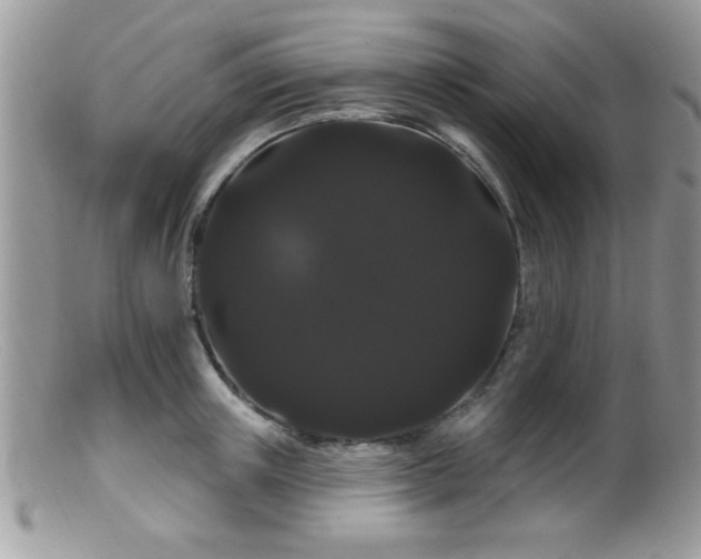 X0000099380851200805151617