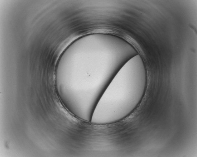 X0000099380852200805151617