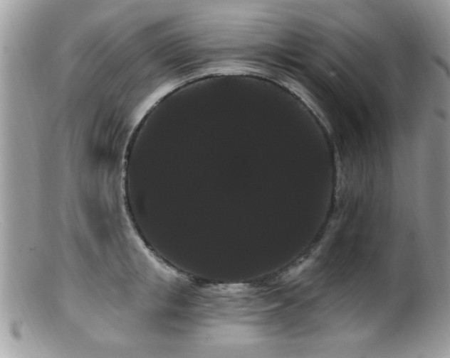 X0000099380853200805151617