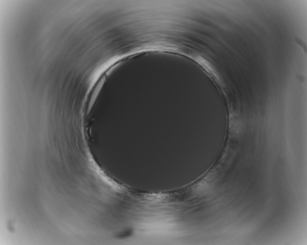 X0000099380854200805151617