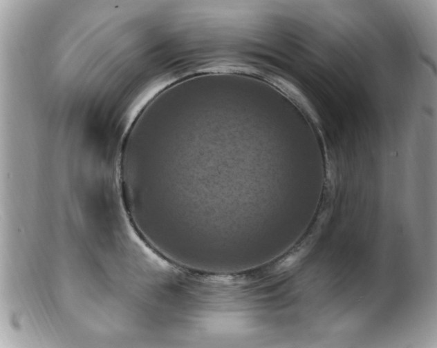 X0000099380855200805151617