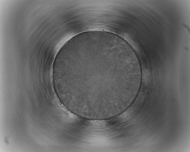 X0000099380856200805151617