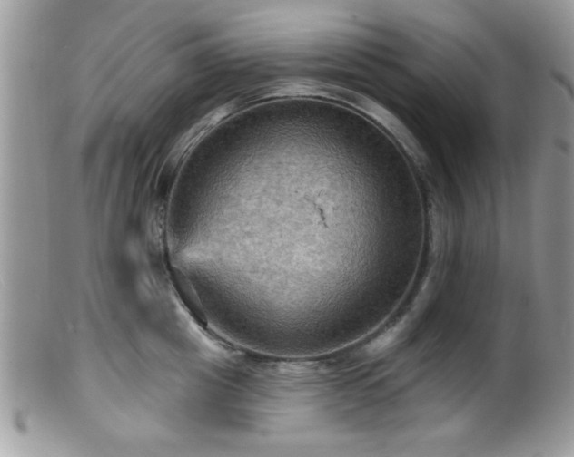 X0000099380857200805151617