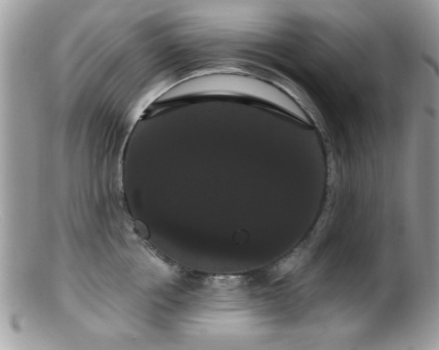 X0000099380858200805151617