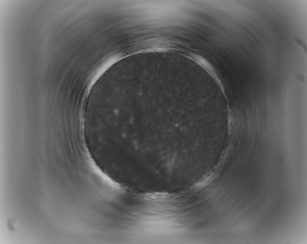 X0000099380859200805151617