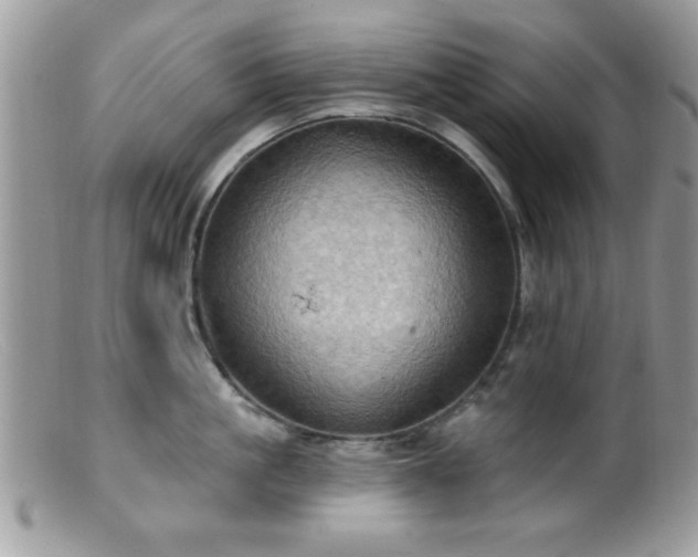 X0000099380861200805151617