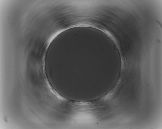 X0000099380862200805151617