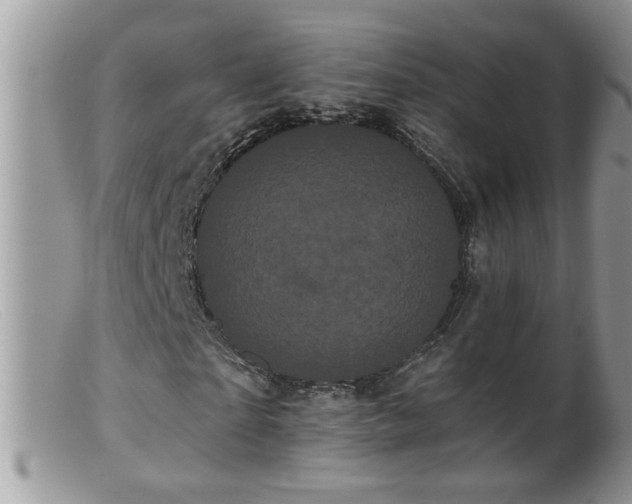 X0000099380865200805151616