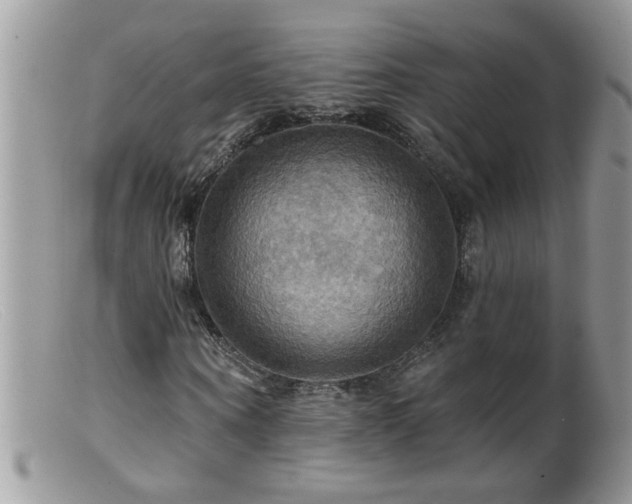 X0000099380866200805151616