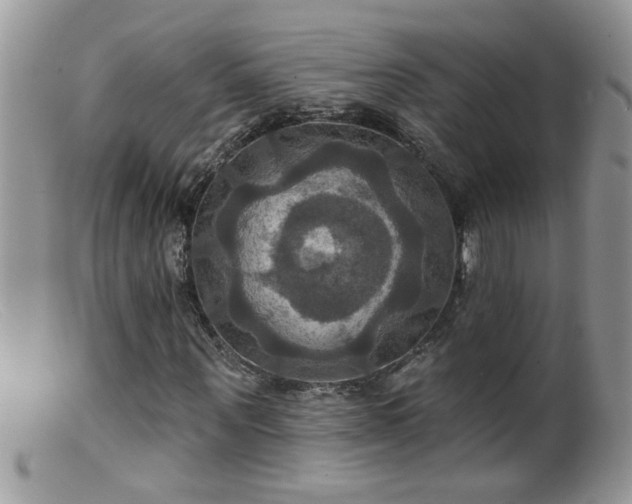 X0000099380867200805151616