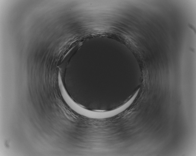 X0000099380868200805151616